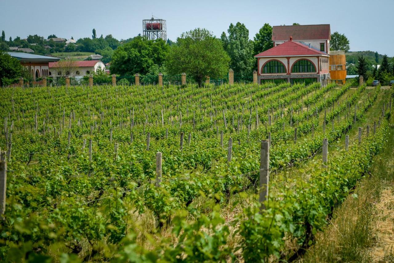 Chabiant Guesthouse Chateau Monolit Ikinci Yeniyol Luaran gambar